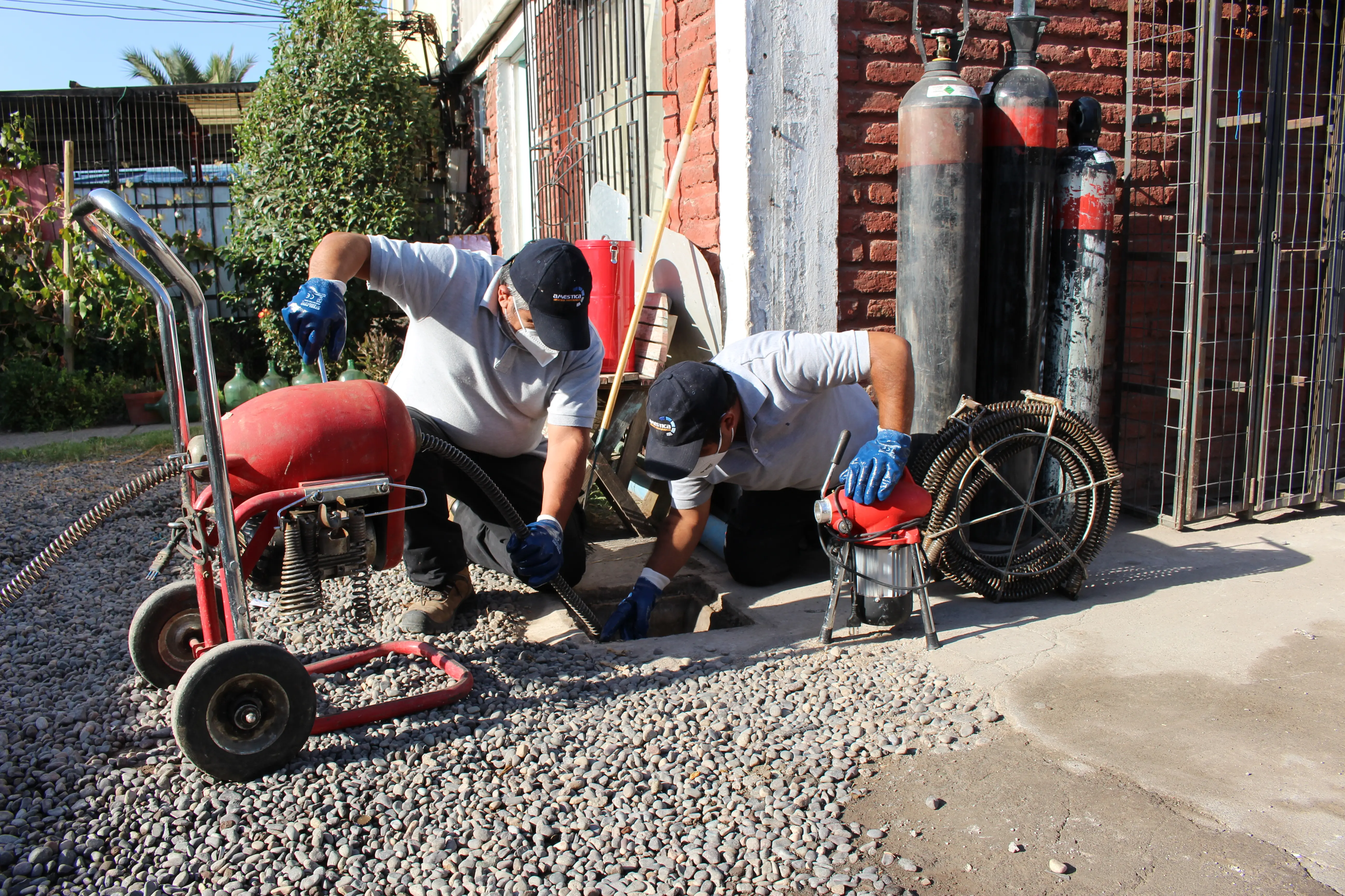 Evidencia de trabajo 5 - Servicios profesionales