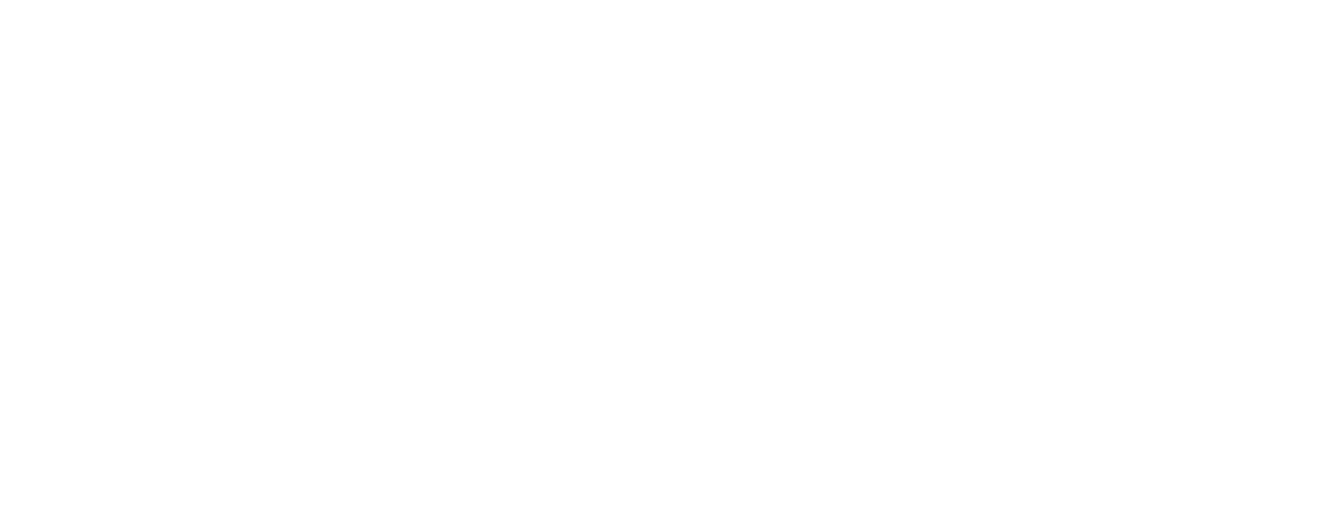 Logo Améstica